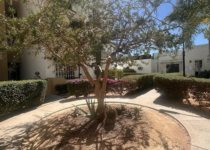 Apartment Cabo Getaway Pool 2 Bedrooms Cabo San Lucas